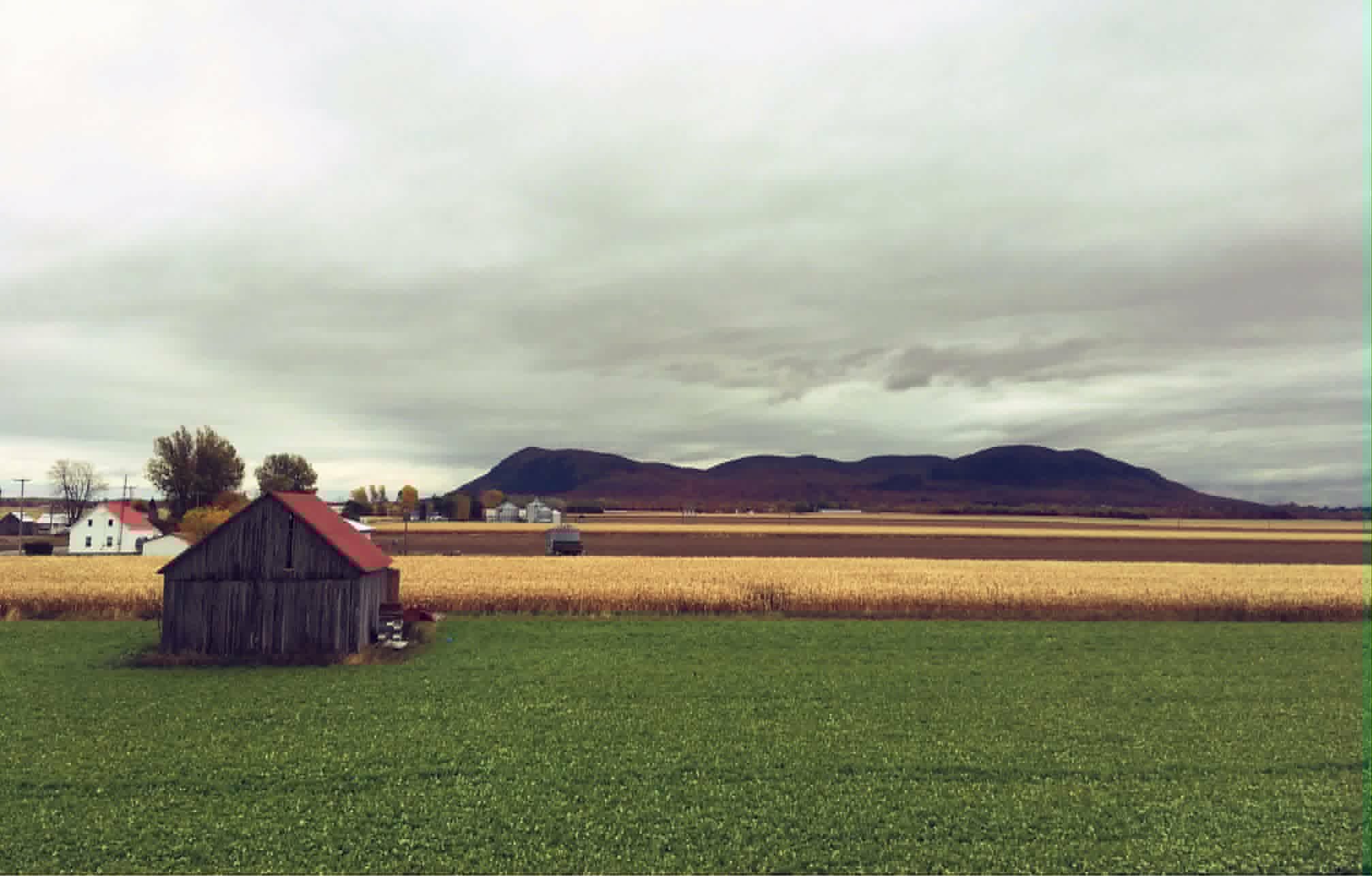 La grange rénovée sur la ferme d'Alice, à Saint-Pie, en fin de journée